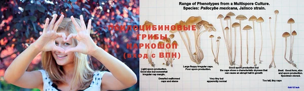 Альфа ПВП Балабаново