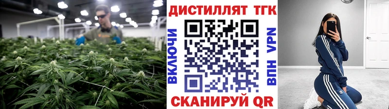 даркнет сайт  блэк спрут онион  ТГК концентрат  Чекалин 